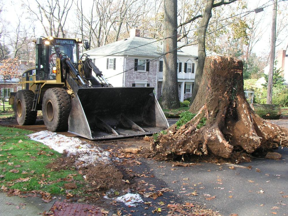 Disaster Operations 1